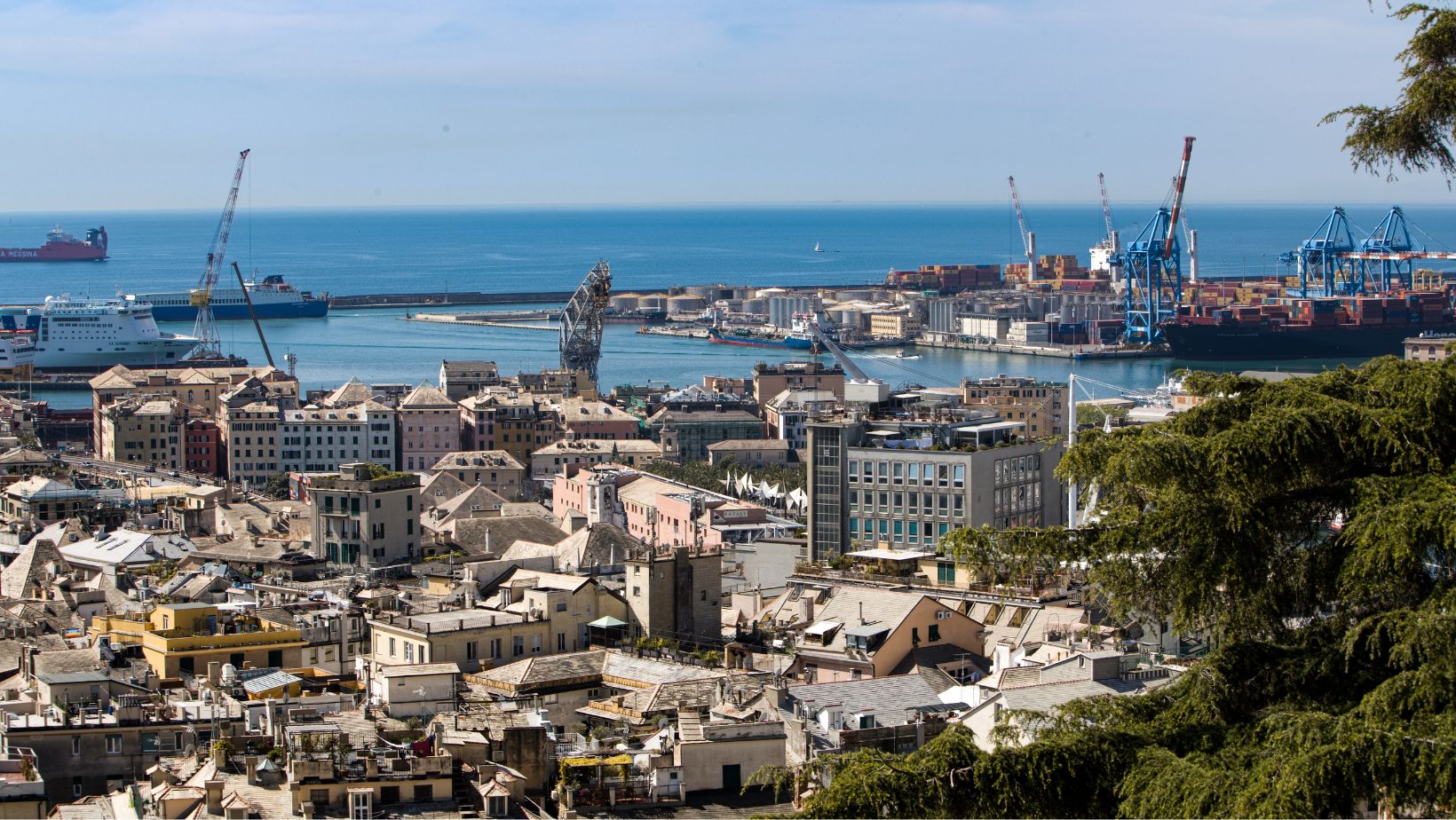 genova