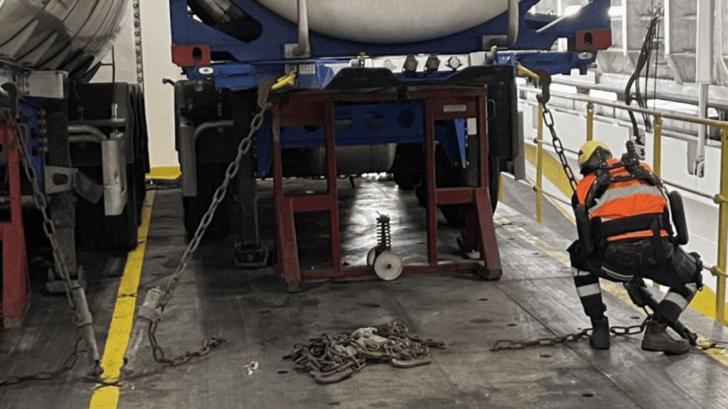 esoscheletri livorno